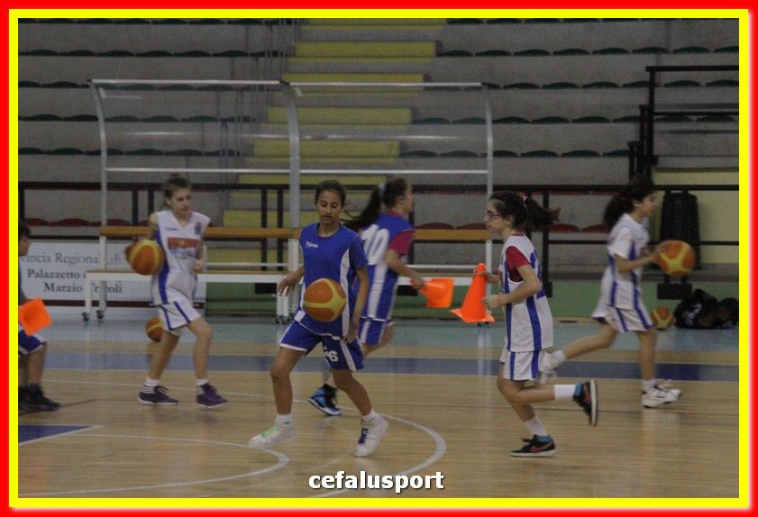 140505 basket 234_tn.jpg